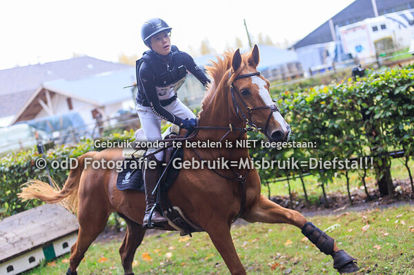 SGW Ysselsteyn paard B-intro 05-10-25