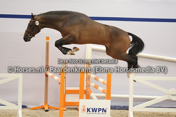 41 (Comme il faut x Colbert GT) (1)