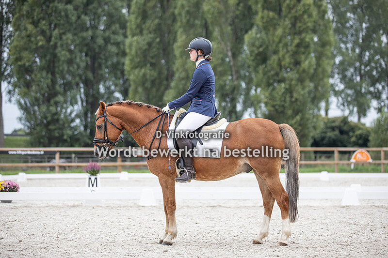 Zara Croes - Char's Mystic Woodland