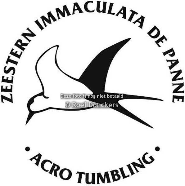 Zeestern Immaculata ACRO