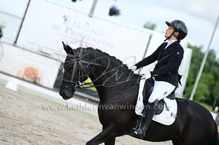 Brenda van Krevelen - Dark Angel