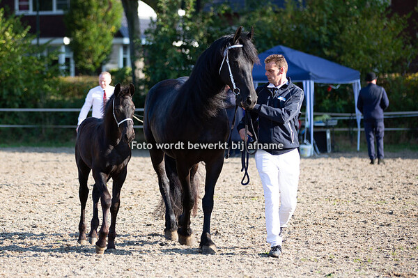 07. Nier van de Terp