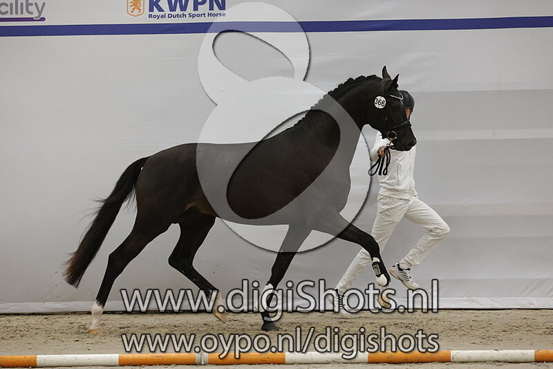 Ralph Lauren Van De Mejontsma v. Furst Dior - 366