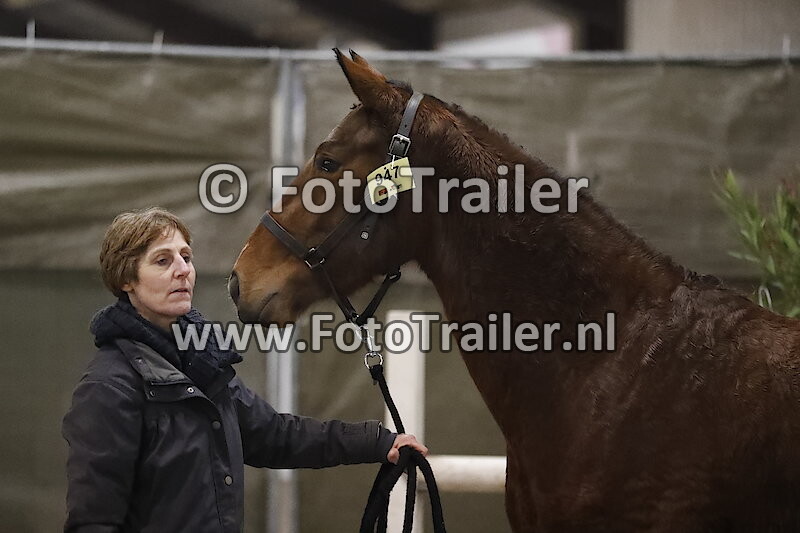 947 - Korrie van den Hoogeweg