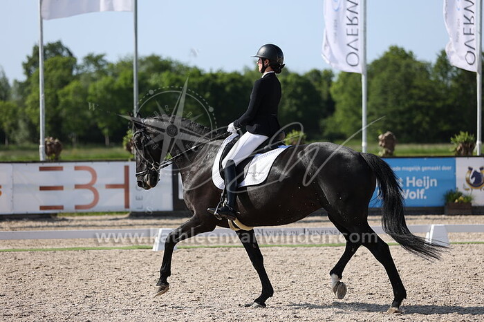 Claire Merlay-van Seumeren - Hereina