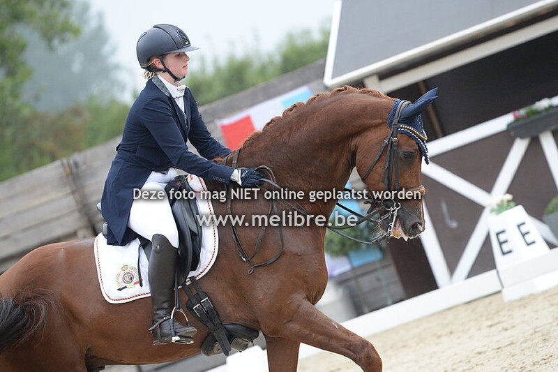 Junior Rider par Equipe