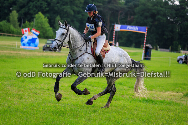 SGW Markelo Snorrewind Paard M 01-06-25