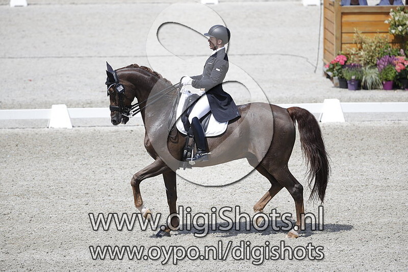 Gorklintgards Romaro