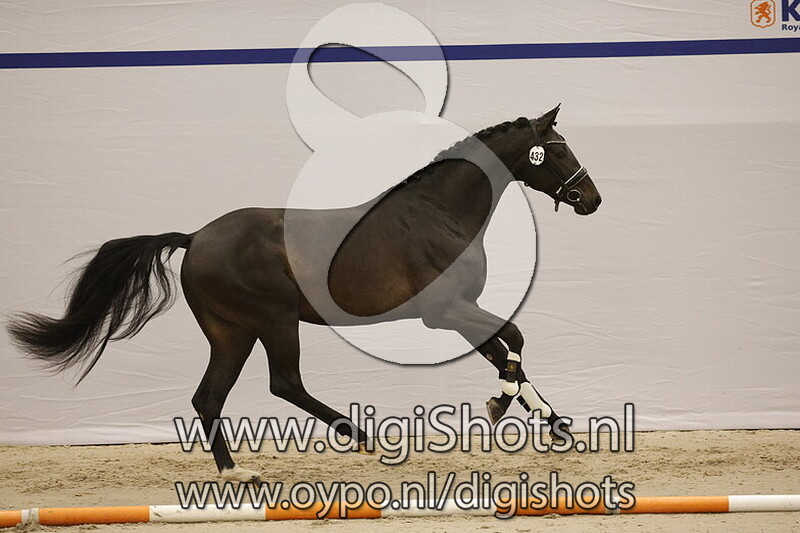 Sergeant Pepper Sollenburg v. Mac Madison