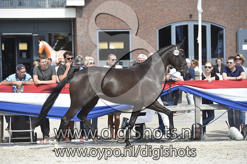 Kenia ES D v. De Niro