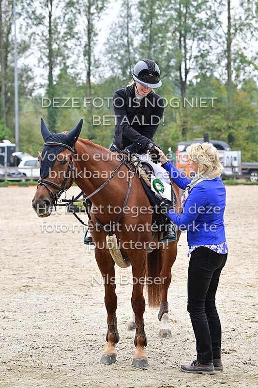 3 Paarden 100 cm - rijstijl zonder barrage