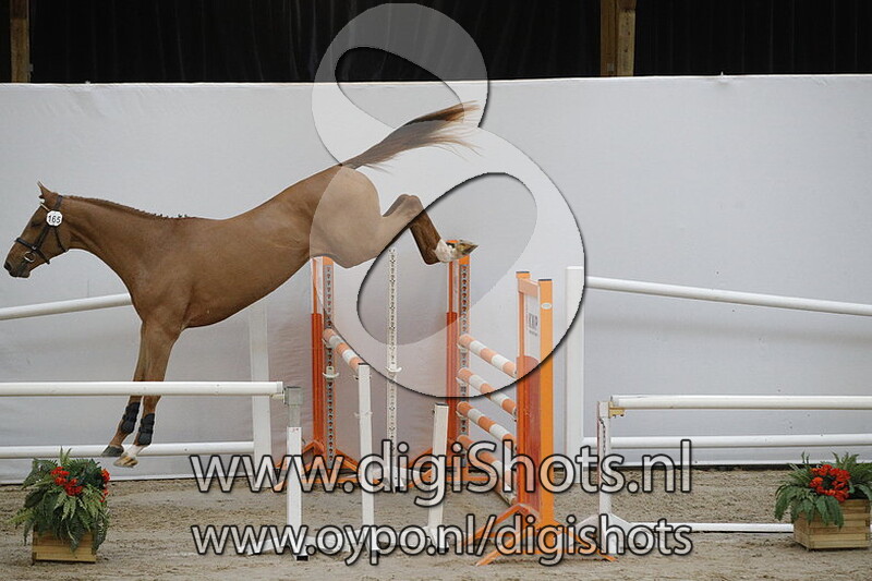 Monsieur VDL v. Inaico VDL