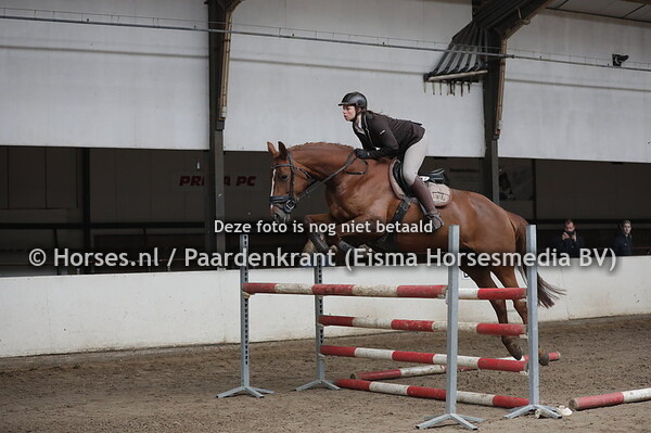 12 Jolily (Everglade VDL x Olily v. Burggraaf) Lara Meidam