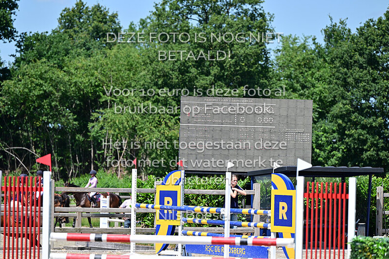 6 Paarden 1.10m 2 fasen special