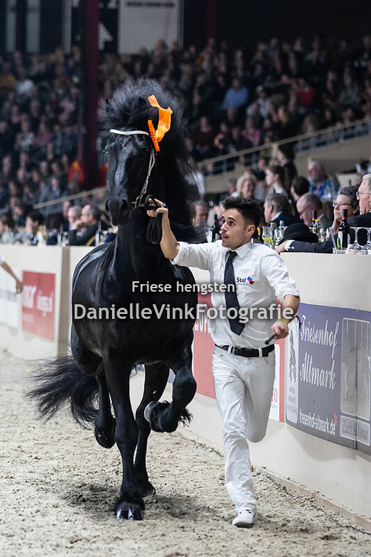 Hengstenkeuring 2020 Wibout 511