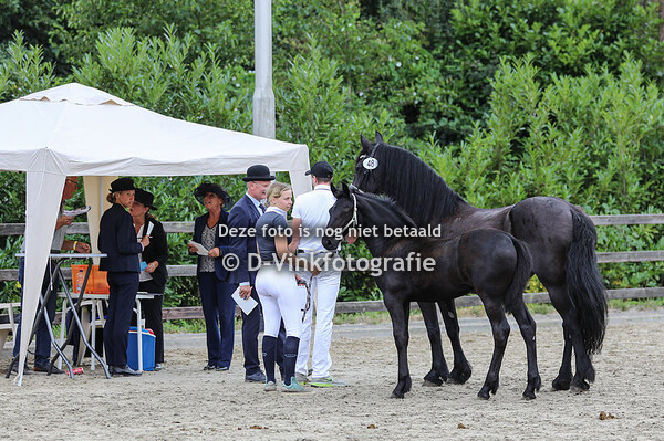 48. Teuntje van de Black Stables