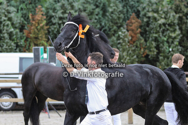 Rubriek 10 Premiekeuring kroonmerries