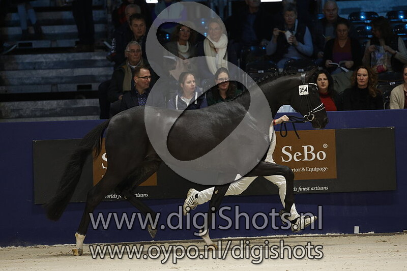 Roubaix Ter Selle S v. For Ferrero - 354