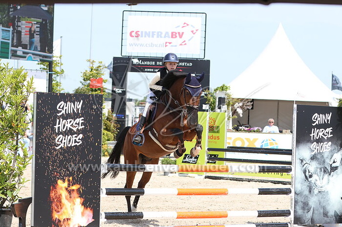 Mienie Vos - Asterix