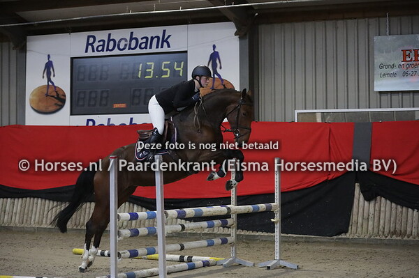 23 Mewaldine (Diamant de Semilly x Phewaldine v. hemmingway) met Iris Vinkx