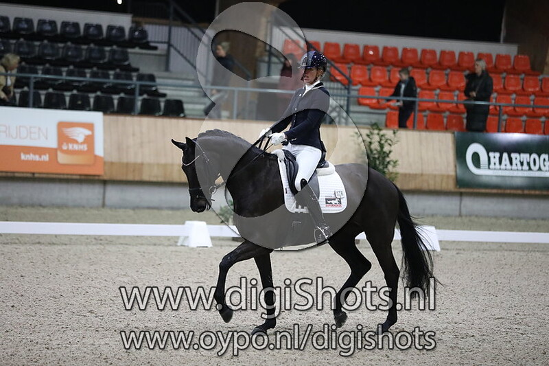 Superhorse Lou Lou Hf