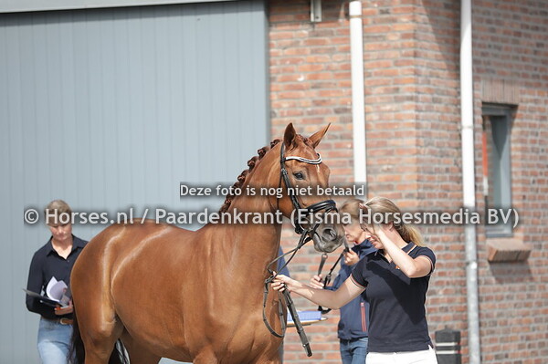 42 Malala (Daily Diamond x Elisa v. Westpoint)