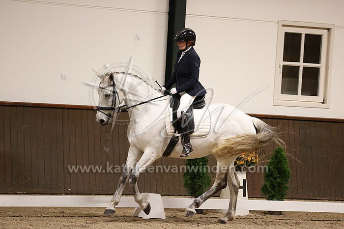 Judith Litjens van Boekel - Cartina