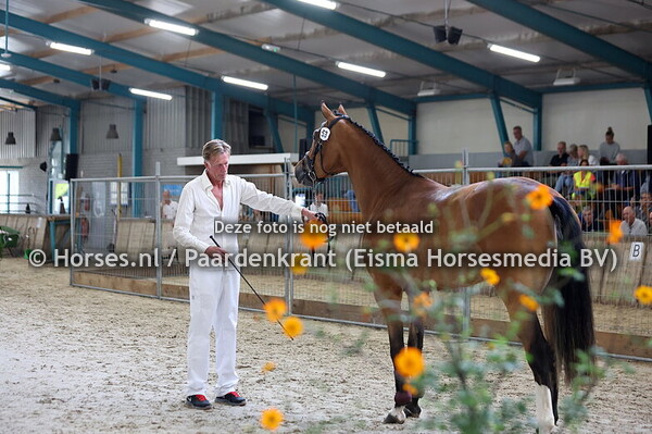 53 Sera fan e Five (Grand Slam x Zera F v. Sharaton)