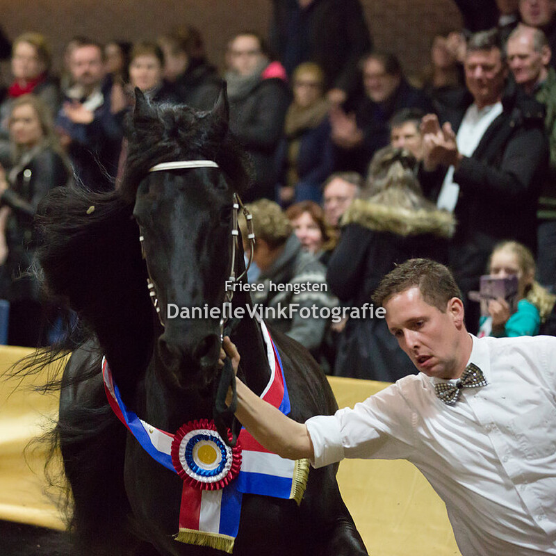 Hengstenshow Lunteren 24-02-2018 - Alwin 469