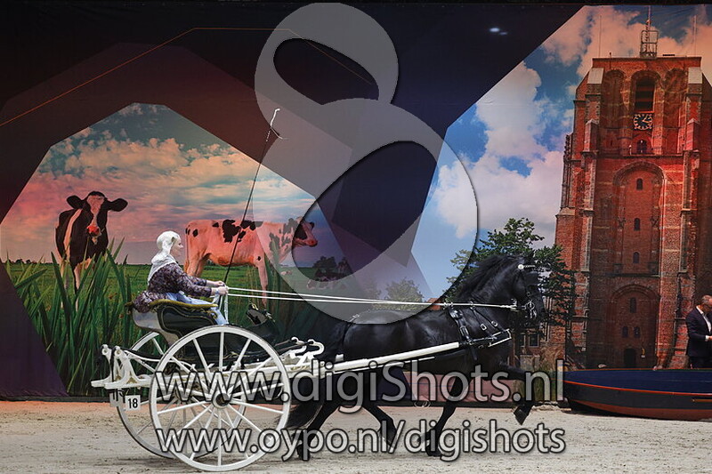 Frijheid fan e Stjelpdyk