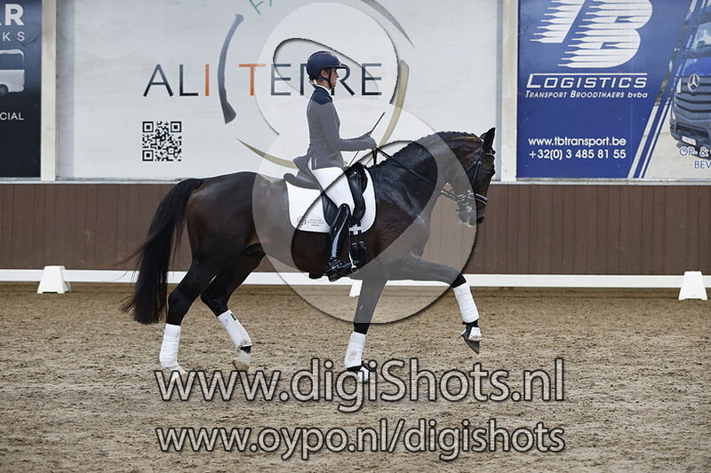 Rolex W van Prinsenhofs