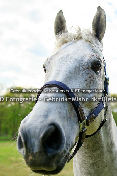 SGW Markelo Potdijk 28-04-19