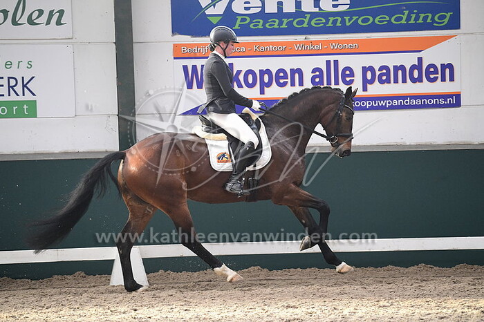 Sanne Tazelaar - Prince