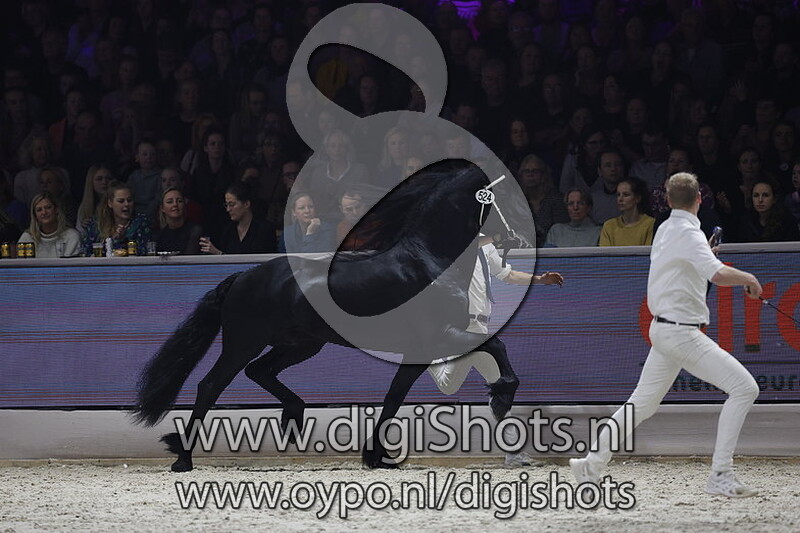 Herre 524 v. Nane 492