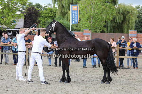 99. Fyp van 't Lansink