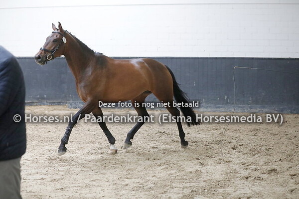 5 La Luna (Arlando x Anne-Nicole v. SANDREO)