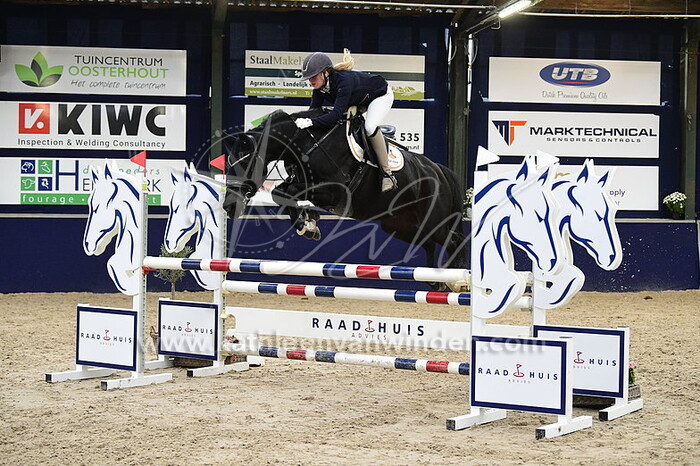 Annika van den Heerik - Gadesse