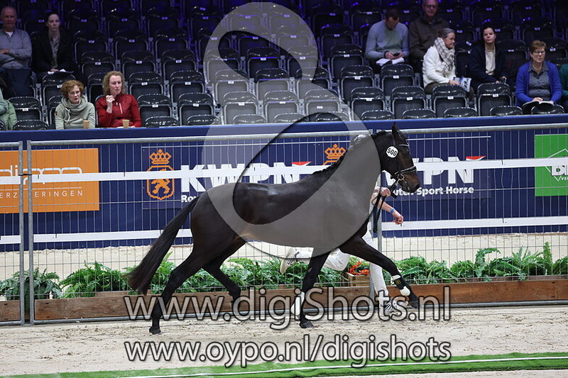 So Perfect v. Chatinue