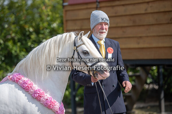 Stallion & Youngstock Show South