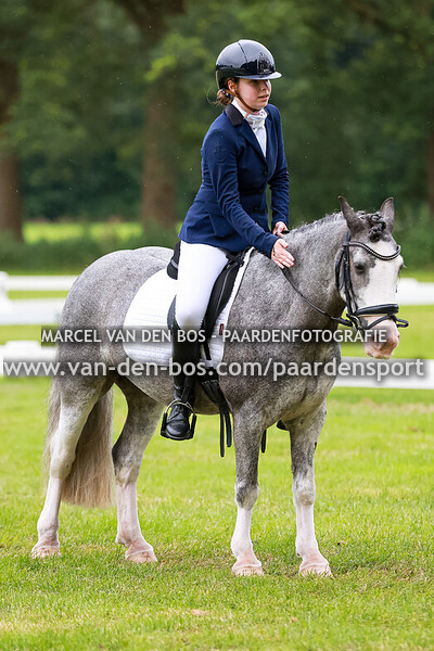 20240615-111-ring4-ring5-startijd_1820-2000-koudbloeden