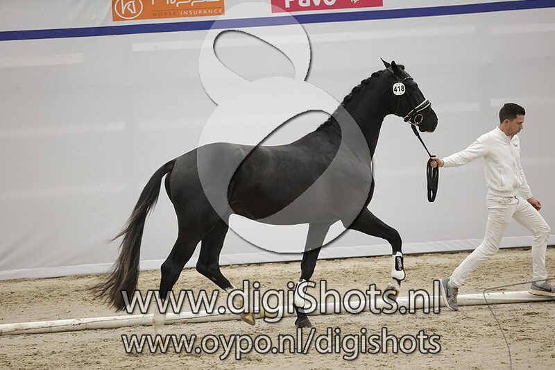 Portofino DDH v. Jameson RS2 - 418