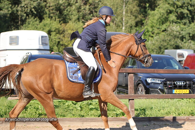 Horka Concours 03-09-2022 Rubriek 2 80cm DE