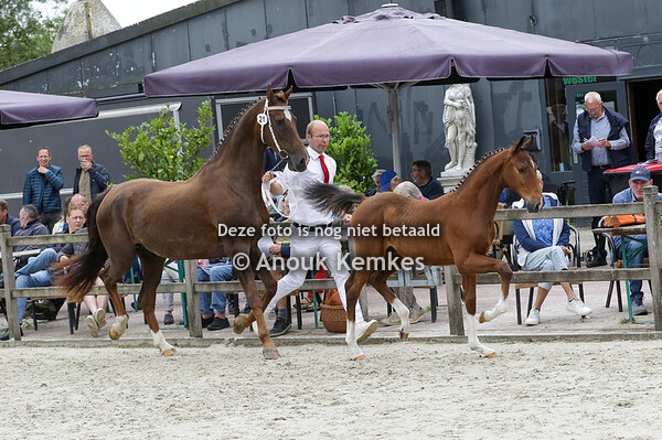 021 - U2 OBERON X UNIEKO W. VEENSTRA, FRIESCHEPALEN