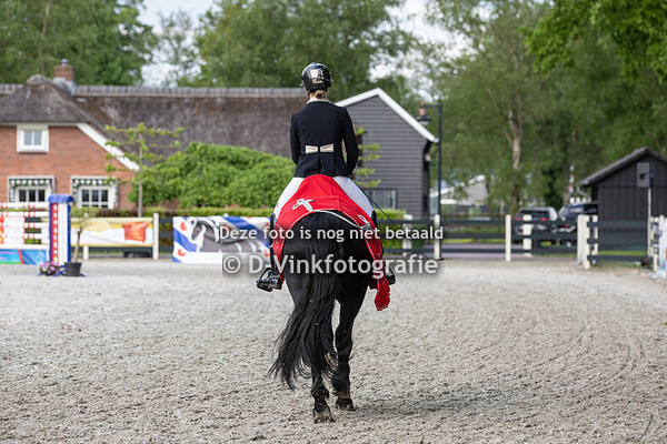Rubriek 23. Bestgaand rijpaard finale hengsten/ ruinen