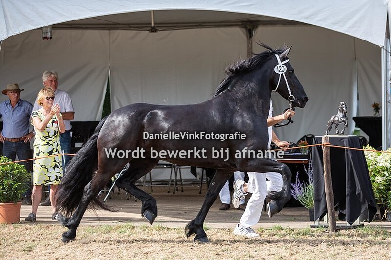 kampioenen en reservekampioenen