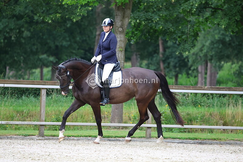 41_HAAKSBERGEN_AVONDDRESSUUR_paard_25juli2025