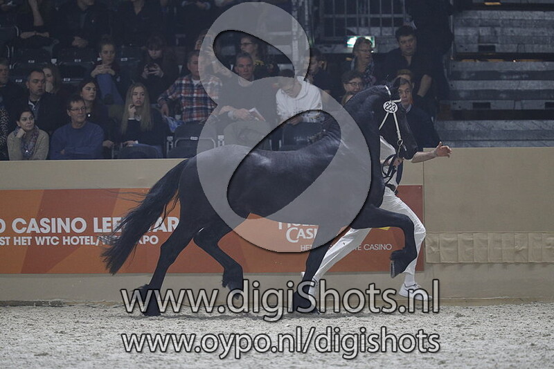 Bernlef fan t Fjildhus