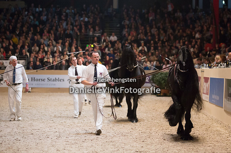 Hengstenkeuring 2018 Beart 411