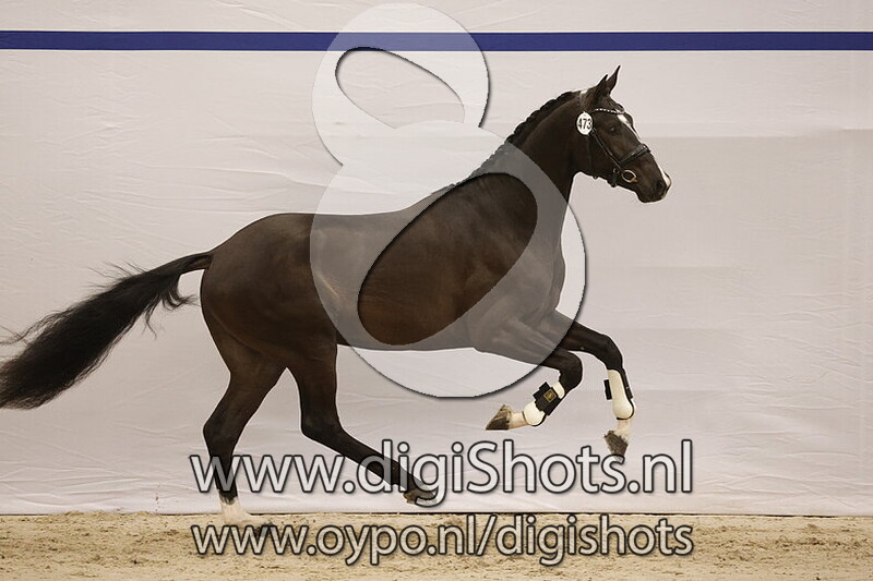 So Special L v. Next Level