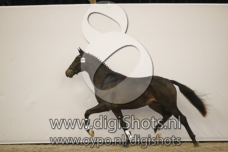 Monsieur Utopia v. Expression